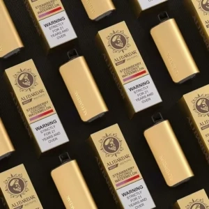 iget 10000 - Professional Guide and Review