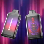 Bang Box 15000 Puff Einweg E Zigarette