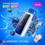 Vozol Star 20000 Puffs Blueberry Storm 5% E-zigaretten Einweg​
